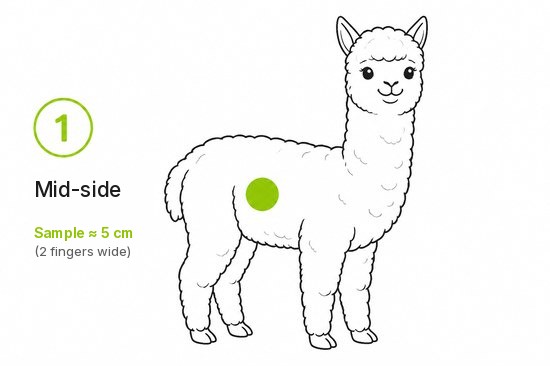 Diagram - mid-side sampling