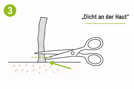 Schema 3 - Dicht an der Haut schneiden