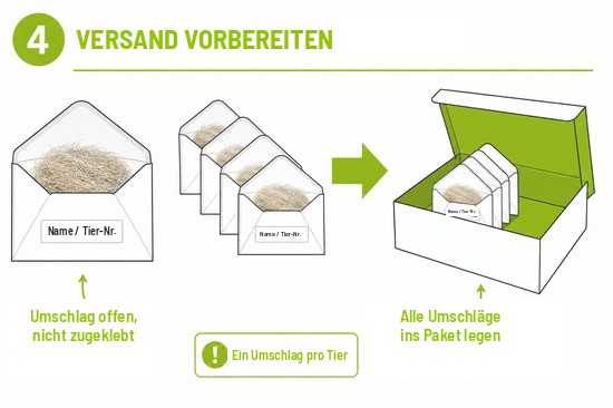 Schema 4 - Versand vorbereiten: ein Umschlag pro Tier