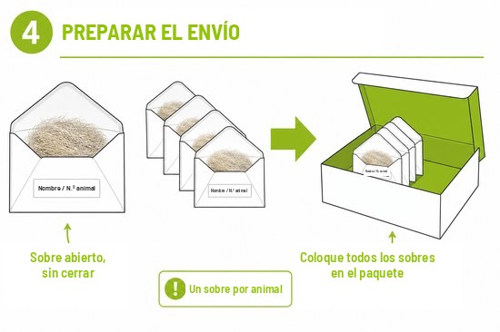 Esquema 4 - Preparar el envío: un sobre por animal