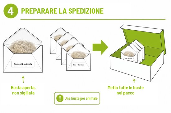 Schema 4 - Preparare la spedizione: una busta per animale